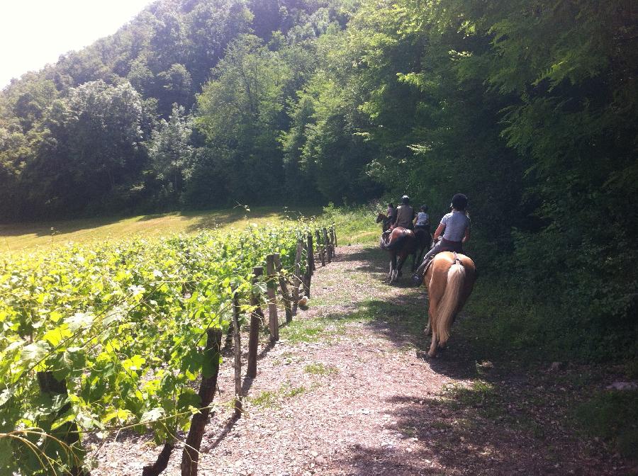Randonn�e �questre   photo 5