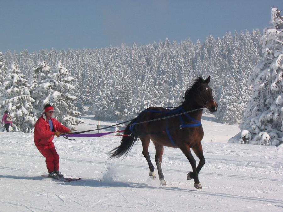 Randonne questre Savoie PNR du Massif des Bauges photo 4