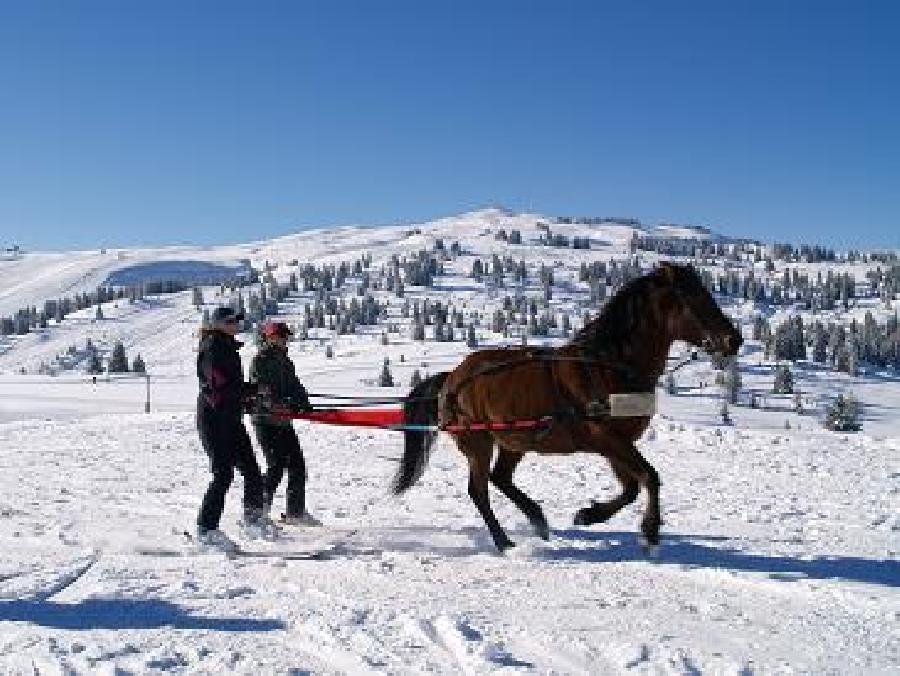 Sjour questre Savoie PNR du Massif des Bauges photo 2