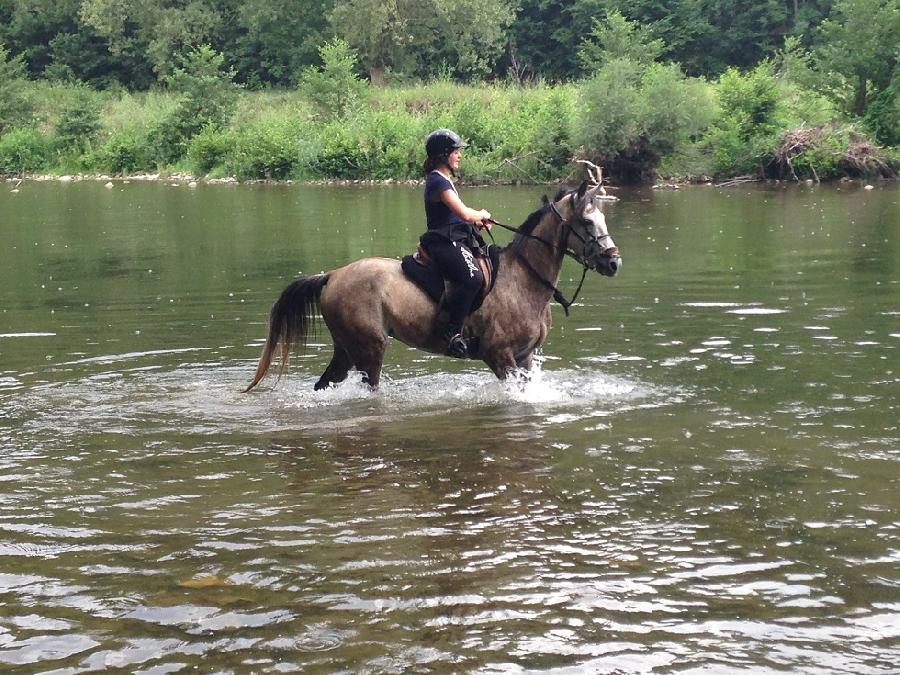 randonnee cheval saone et loire