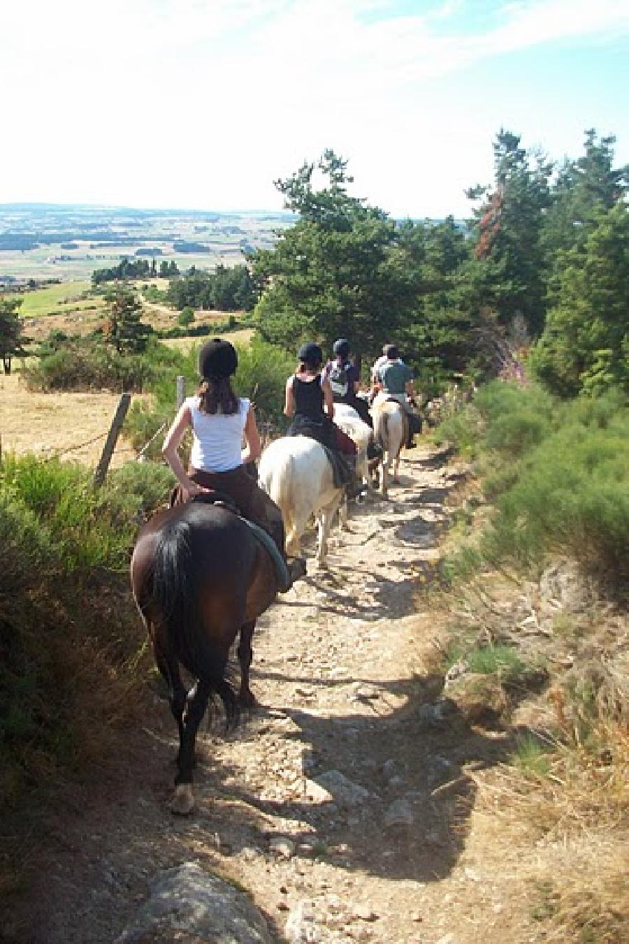 Randonne questre Lozre Massif Central photo 6