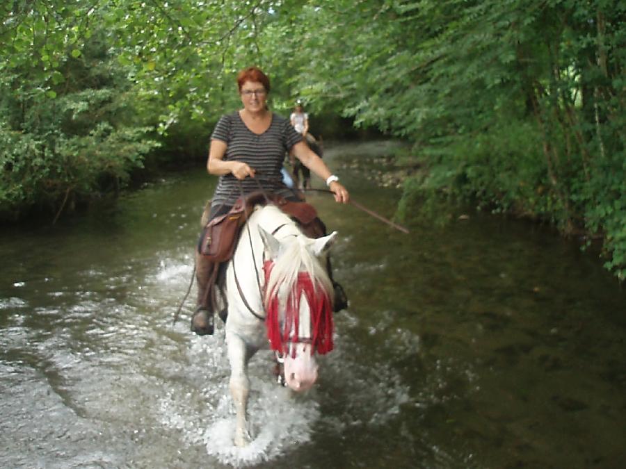 Sjour questre Haute-Garonne  photo 2