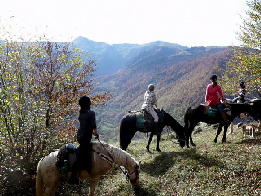 randonnee cheval haute garonne