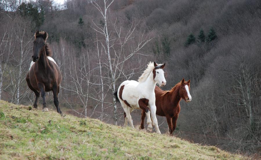 sejour Haute-Garonne Pyrnes