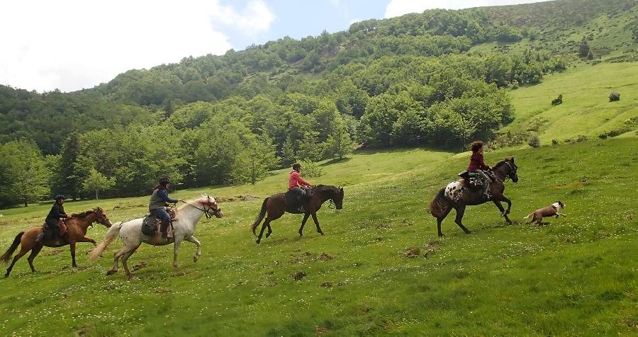 Balade  cheval Haute-Garonne  photo 3