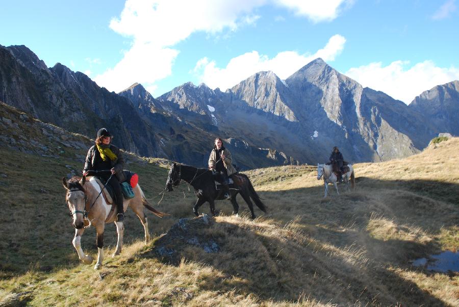 Voyage  cheval Haute-Garonne 