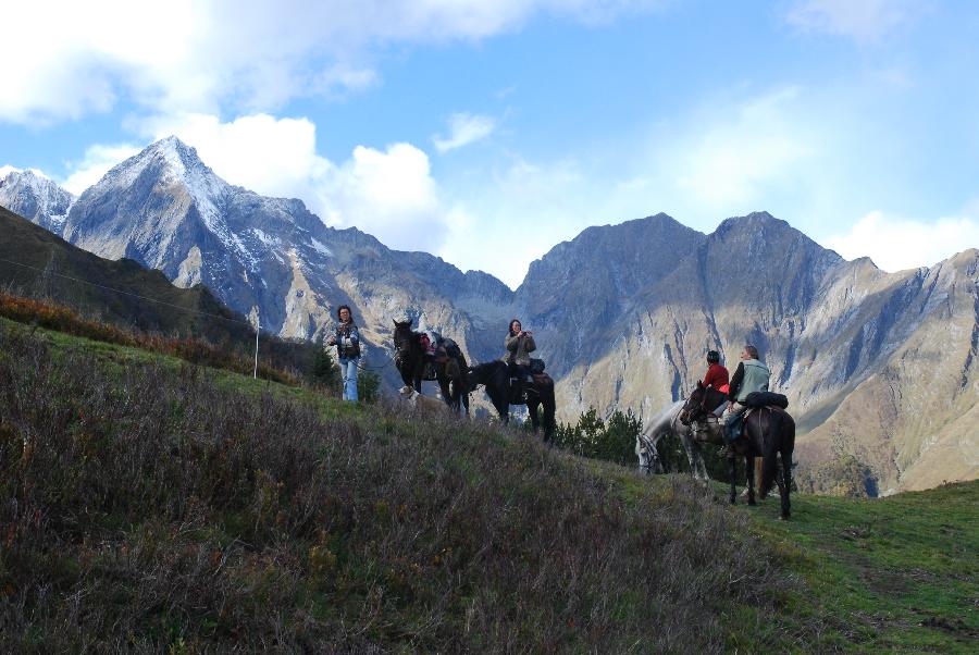 Voyage  cheval Haute-Garonne  photo 2