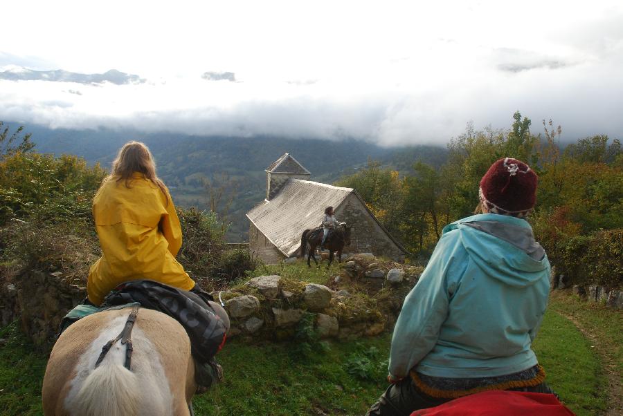 Voyage  cheval Haute-Garonne  photo 4