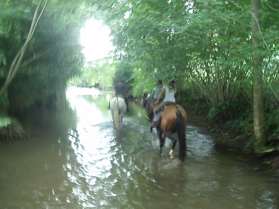 Randonne questre Haute-Garonne  photo 3