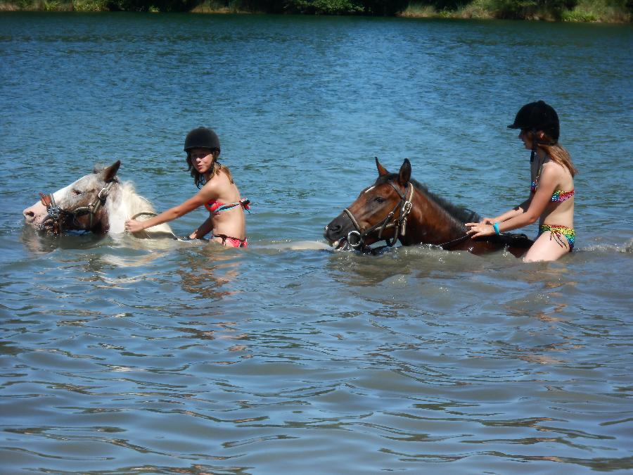 Sjour questre Haute-Garonne  photo 2