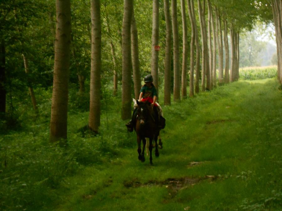 Sjour questre Haute-Garonne  photo 6