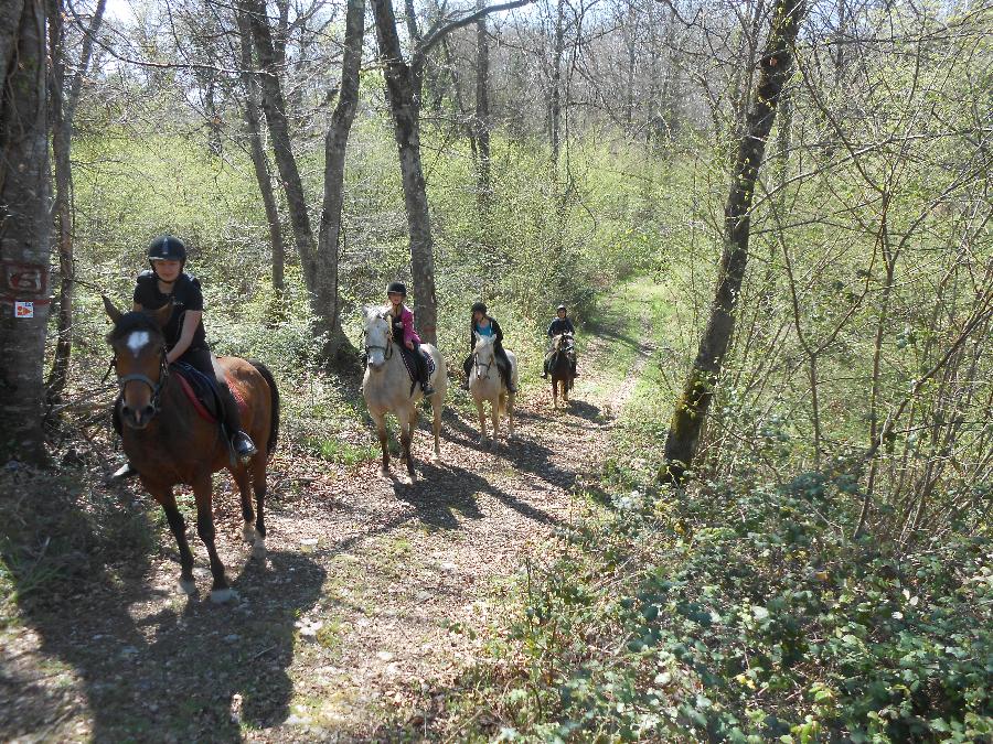 Randonne questre Haute-Garonne Pyrnes