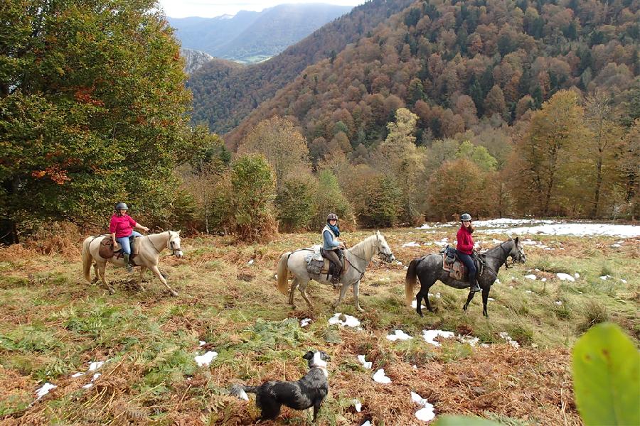 rando Randonnée équestre Haute-Garonne