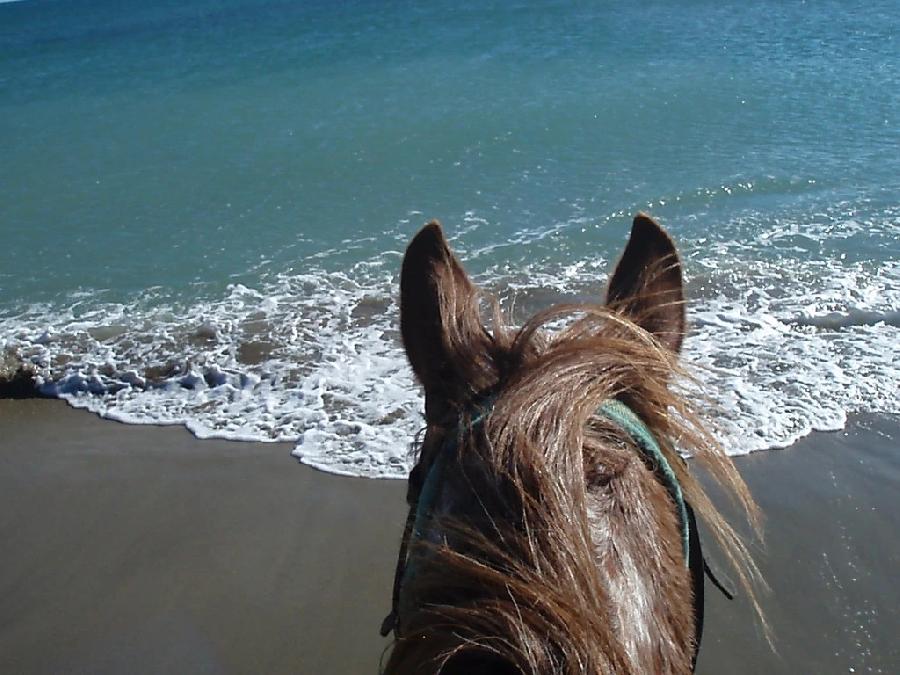 Voyage à cheval Haute-Garonne Pays Cathare photo 2