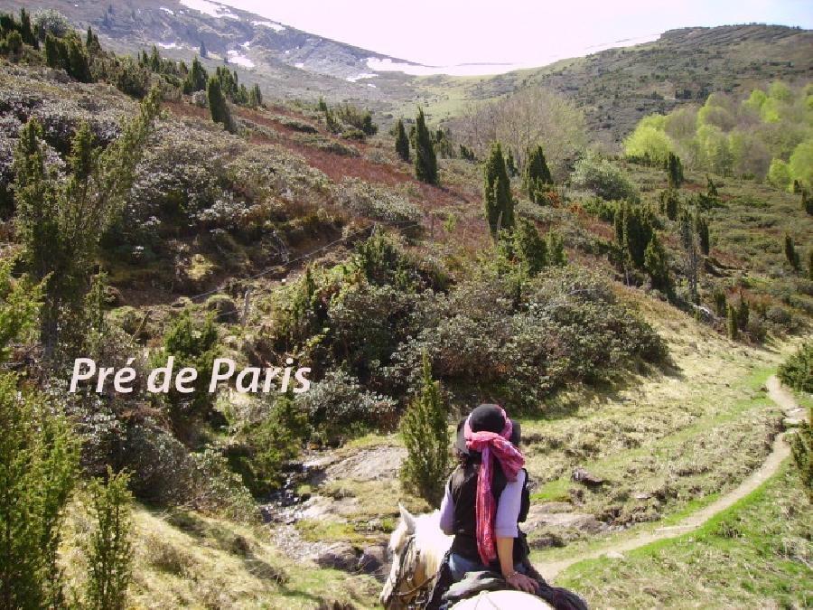 Voyage à cheval Haute-Garonne Pays Cathare photo 3