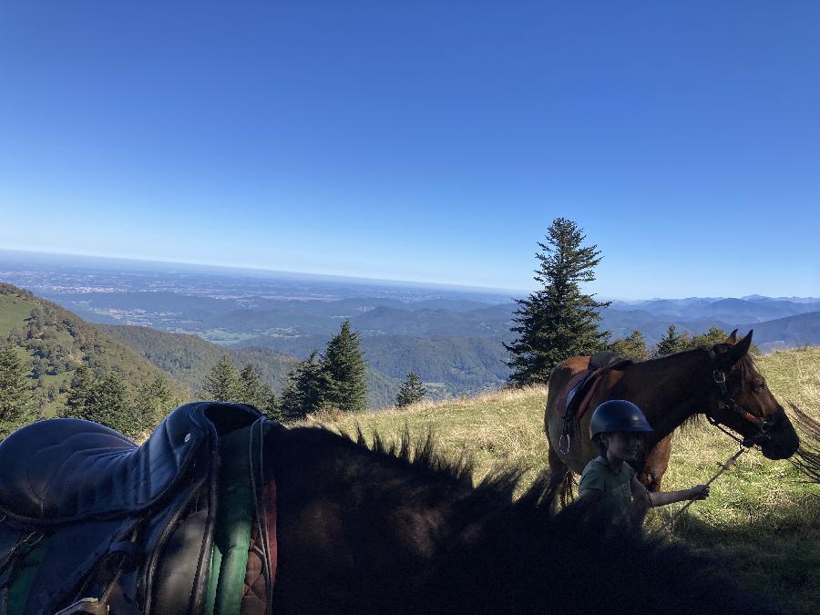 Voyage à cheval Haute-Garonne Pays Cathare photo 4