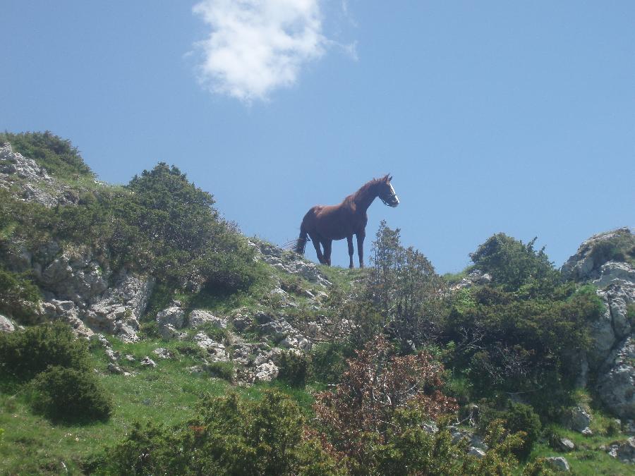 sejour Haute-Garonne Pyrnes photo 6