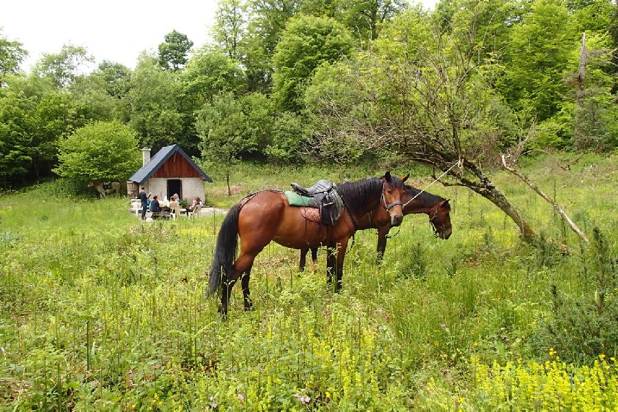 rando Randonne questre Haute-Garonne