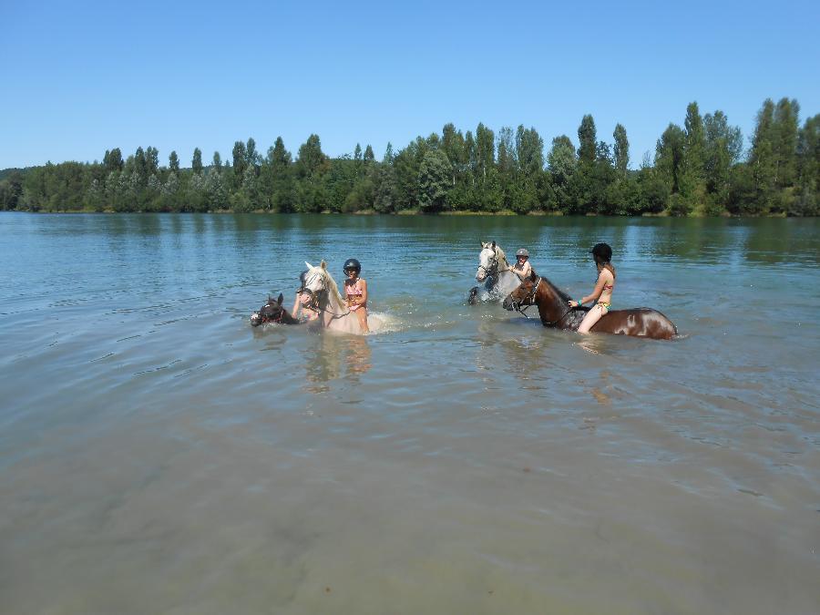 Randonne questre Haute-Garonne  photo 6