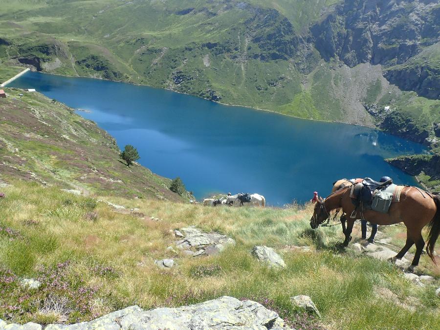 rando Voyage  cheval Haute-Garonne