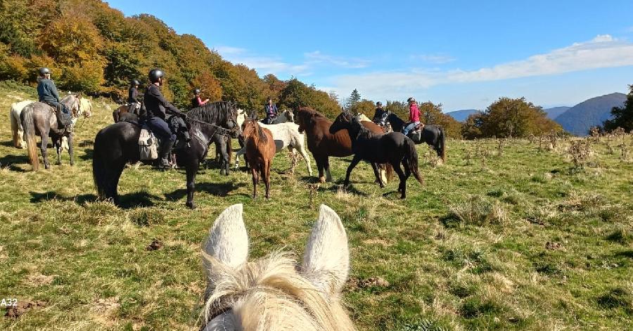 Randonne questre   photo 4