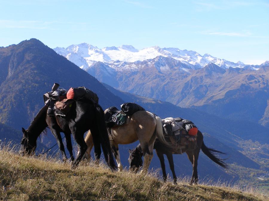 Balade  cheval Haute-Garonne  photo 2