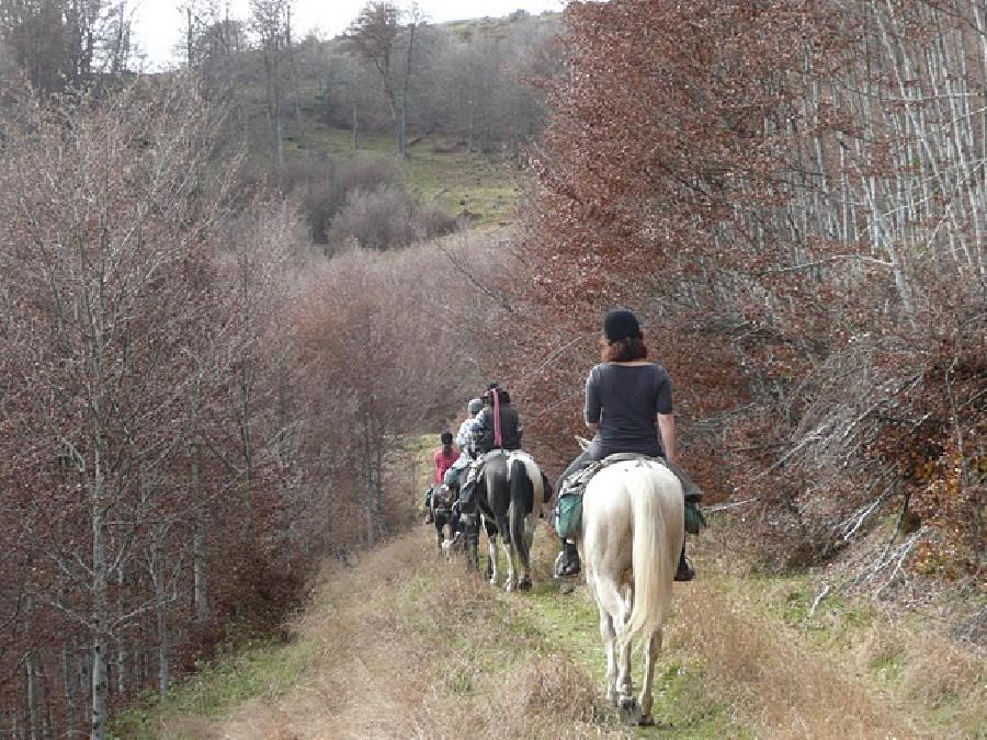 Randonne questre Haute-Garonne PNR des Pyrnes Arigeoises photo 3