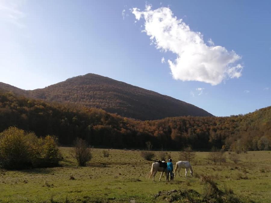 Sjour questre Haute-Garonne Pyrnes photo 2