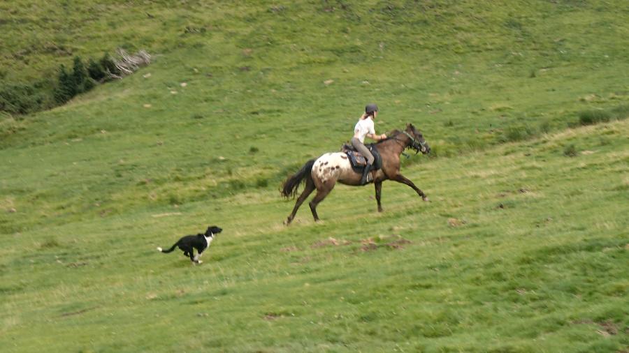 randonnee cheval haute garonne