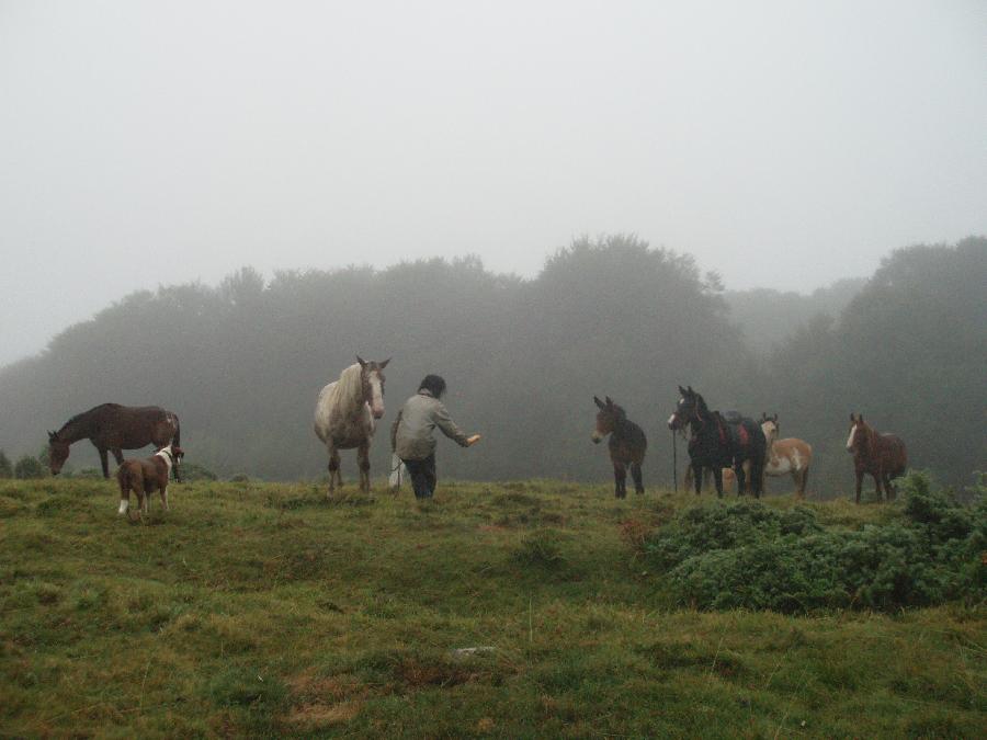 sejour Haute-Garonne Pyrnes photo 3