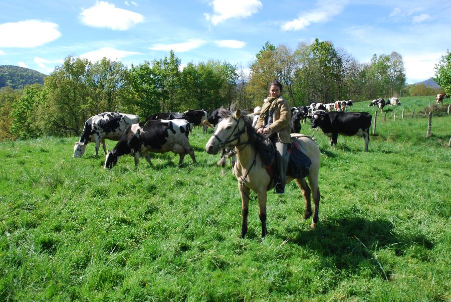 Sjour questre Haute-Garonne Pyrnes