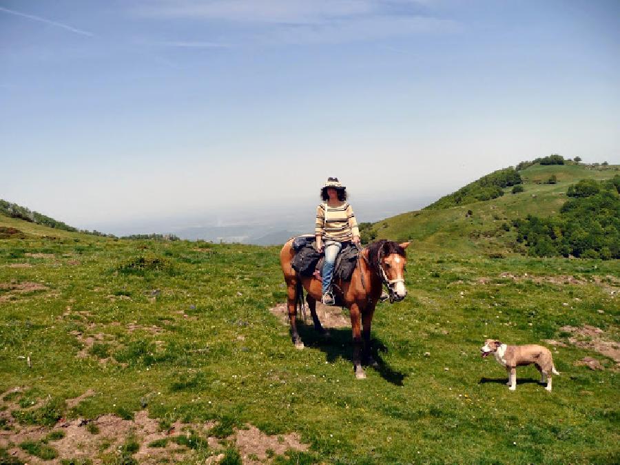 Randonne questre Haute-Garonne 