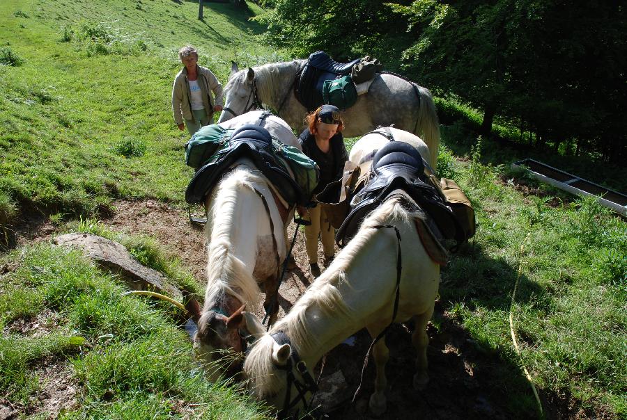 Randonne questre Haute-Garonne  photo 3