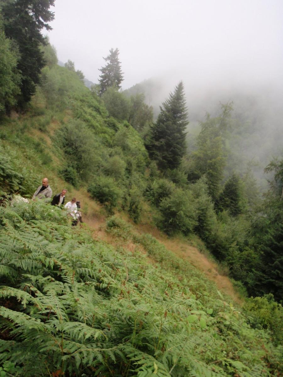 Randonne questre   photo 6