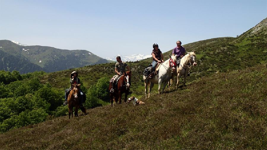 sejour Haute-Garonne Pyrnes photo 4