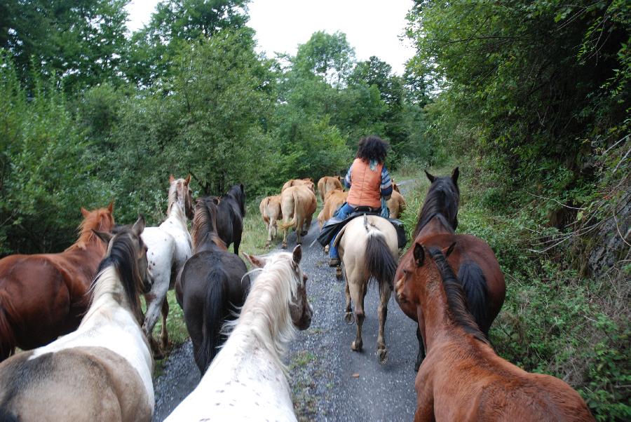 Randonne questre Haute-Garonne  photo 2