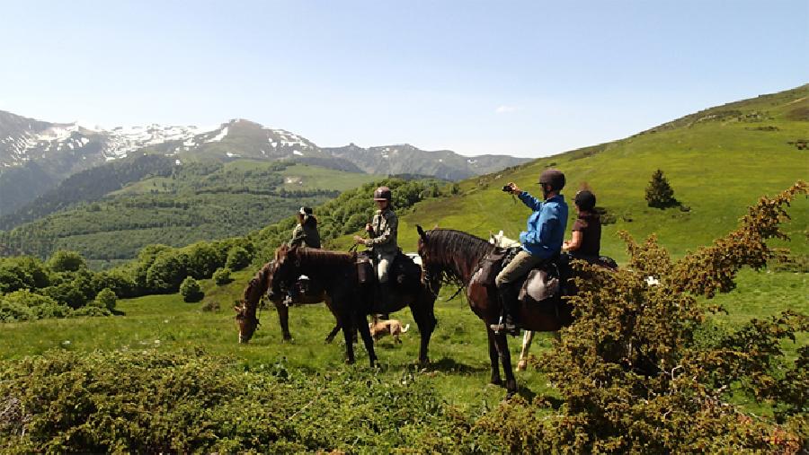 randonnee cheval haute garonne