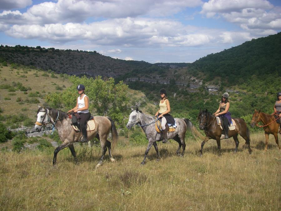 rando cheval 83