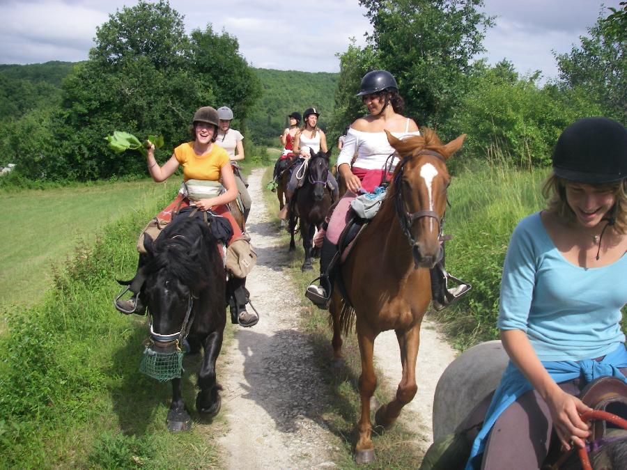 rando cheval 83