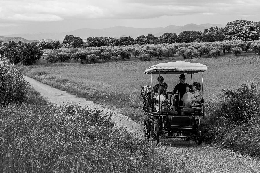 Randonne questre Alpes de Haute-Provence Provence photo 3