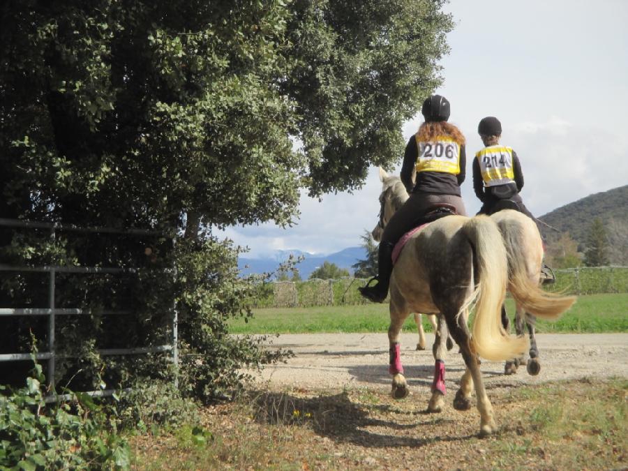 Randonne questre Alpes de Haute-Provence Provence photo 3