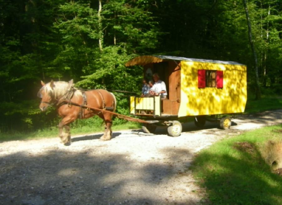 sejour Vacances en roulotte Jura