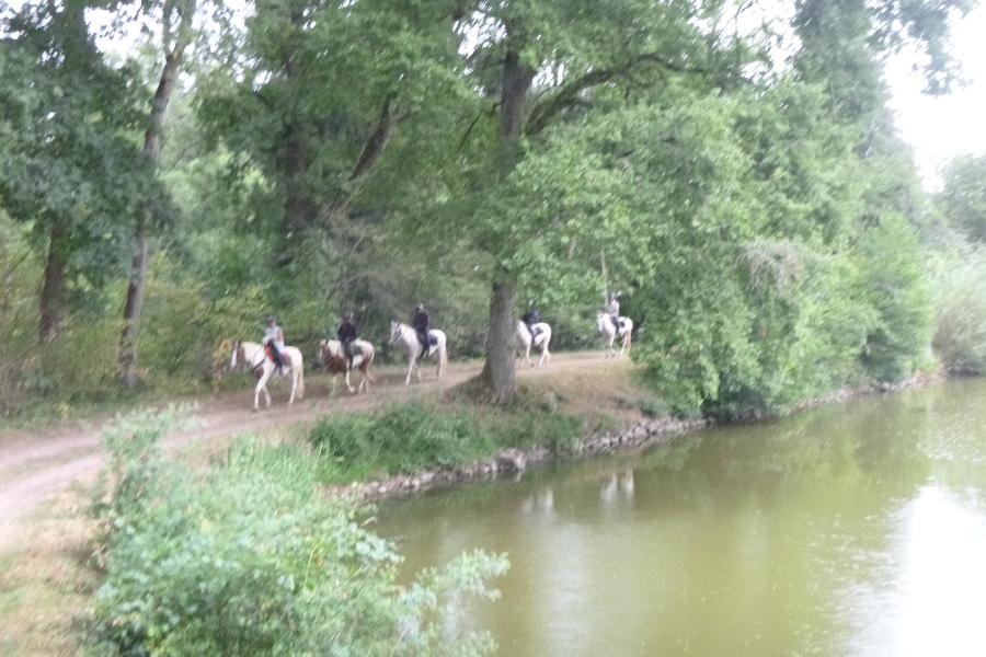 Randonne questre Sane-et-Loire Bourgogne du Sud photo 3