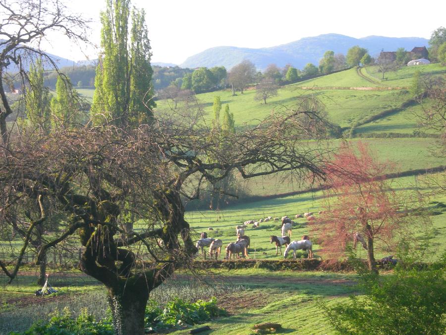 sejour Sane-et-Loire Bourgogne du Sud photo 5