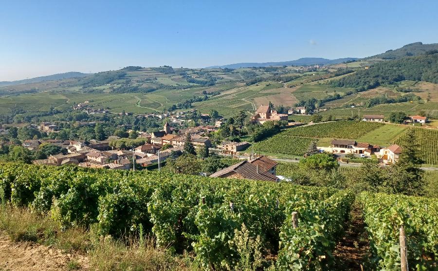 Randonne questre Sane-et-Loire Bourgogne du Sud