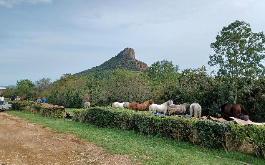 sejour Sane-et-Loire Bourgogne du Sud photo 4