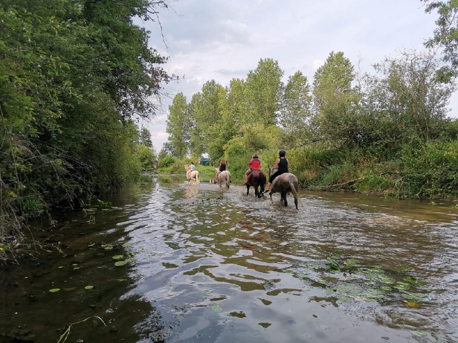 Randonne questre Sane-et-Loire Bourgogne du Sud photo 5