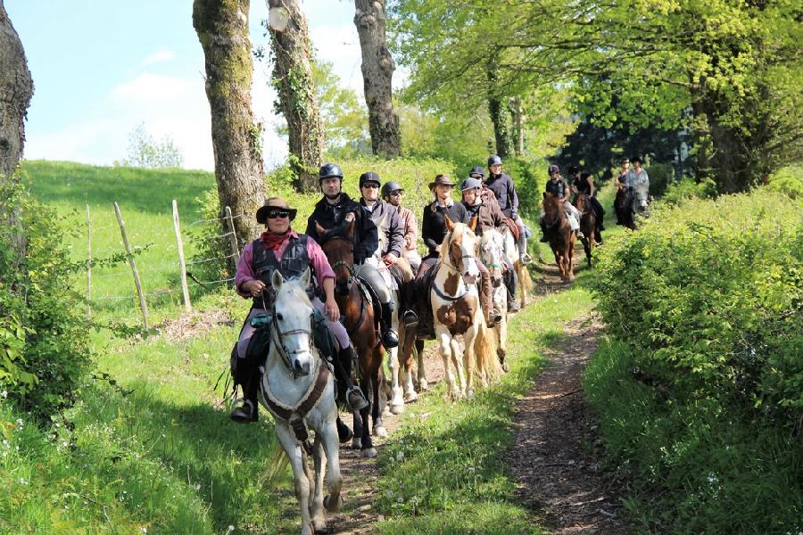 Randonne questre Sane-et-Loire Bourgogne du Sud photo 2