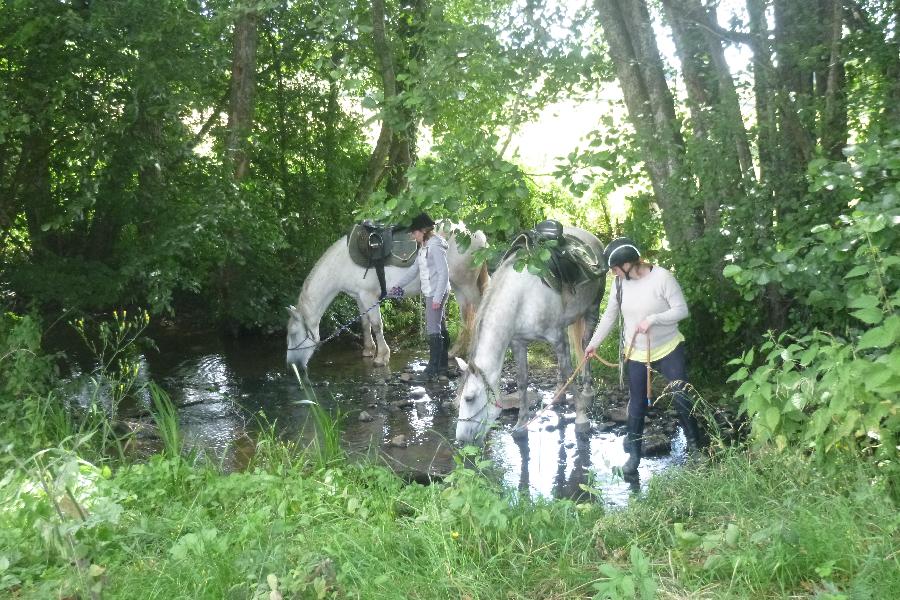 rando Randonne questre Sane-et-Loire