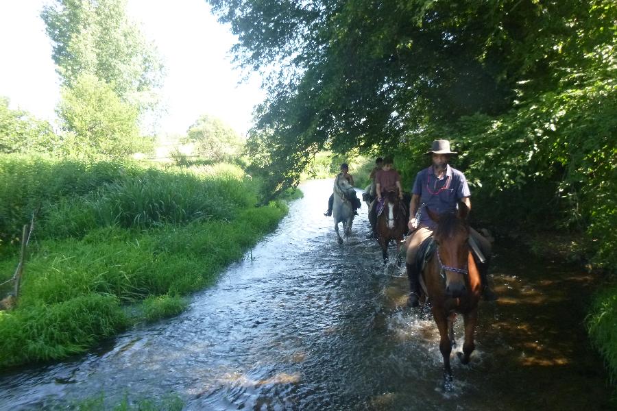 Sjour questre Sane-et-Loire Bourgogne du Sud photo 4